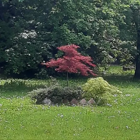 Panzió La Torre Di Longara