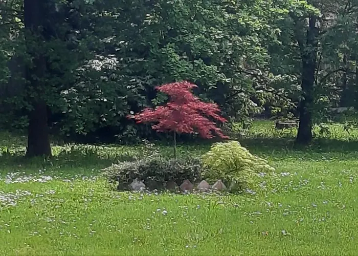 לינה וארוחת בוקר La Torre Di Longara